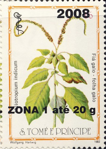 Heliotrpium indicum - Issue of Sao Tome and Principe postage stamps
