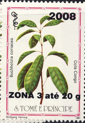 Buchhalzia coriacea - Issue of Sao Tome and Principe postage stamps