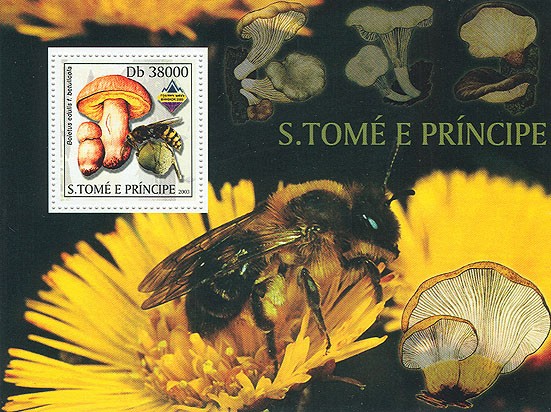 Mushrooms & Bees - Issue of Sao Tome and Principe postage stamps