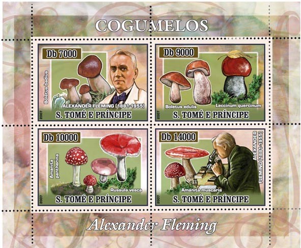 Mushrooms, A. Fleming 4 v - 40 000 Db - Issue of Sao Tome and Principe postage stamps