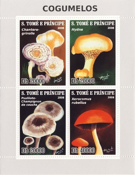 Issues of 2008 year  Mushrooms of Sao Tome & Principe - Issue of Sao Tome and Principe postage stamps