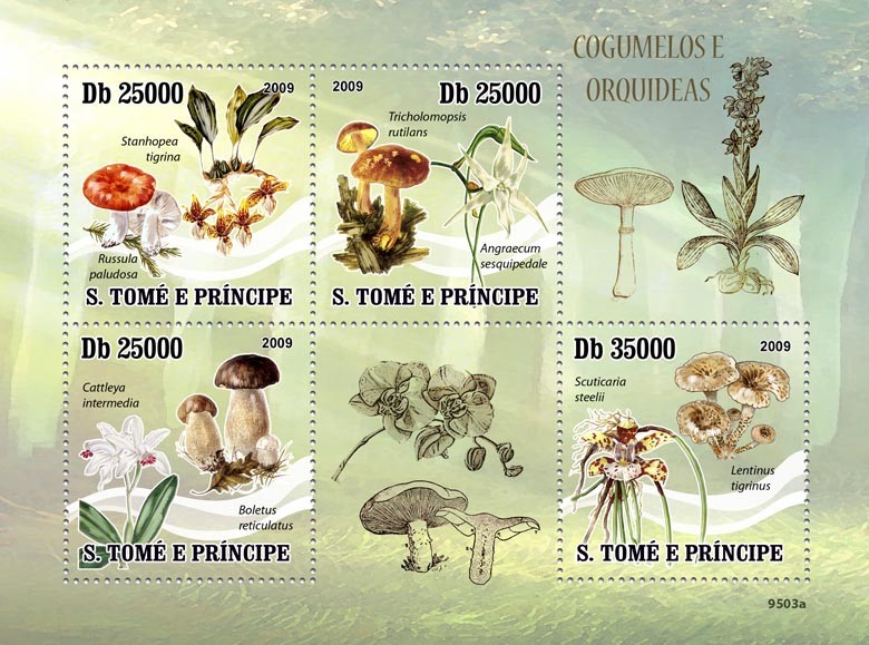 Mushrooms & Orchids - Issue of Sao Tome and Principe postage stamps