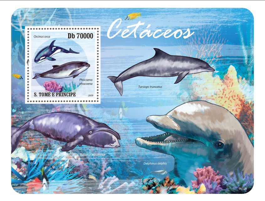 Marine life -Cetaceans  ( whales, dolphins ) - Issue of Sao Tome and Principe postage stamps