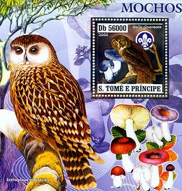 Owls, mushrooms, scouts  S/s 56000 - Issue of Sao Tome and Principe postage stamps