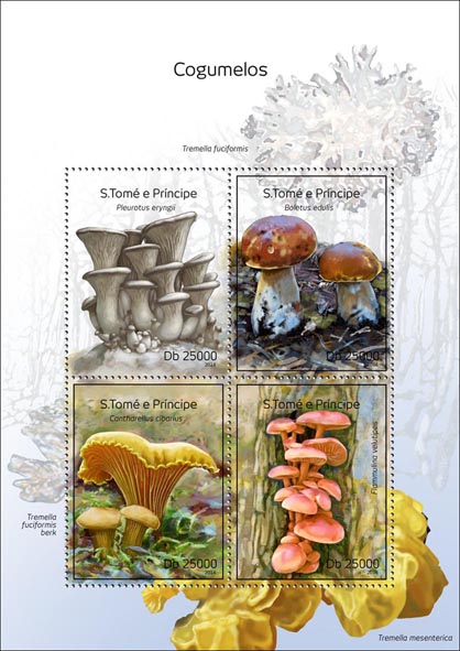 Mushrooms - Issue of Sao Tome and Principe postage stamps