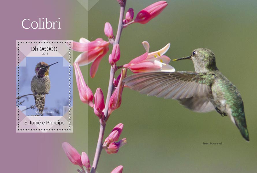 Colibri - Issue of Sao Tome and Principe postage stamps