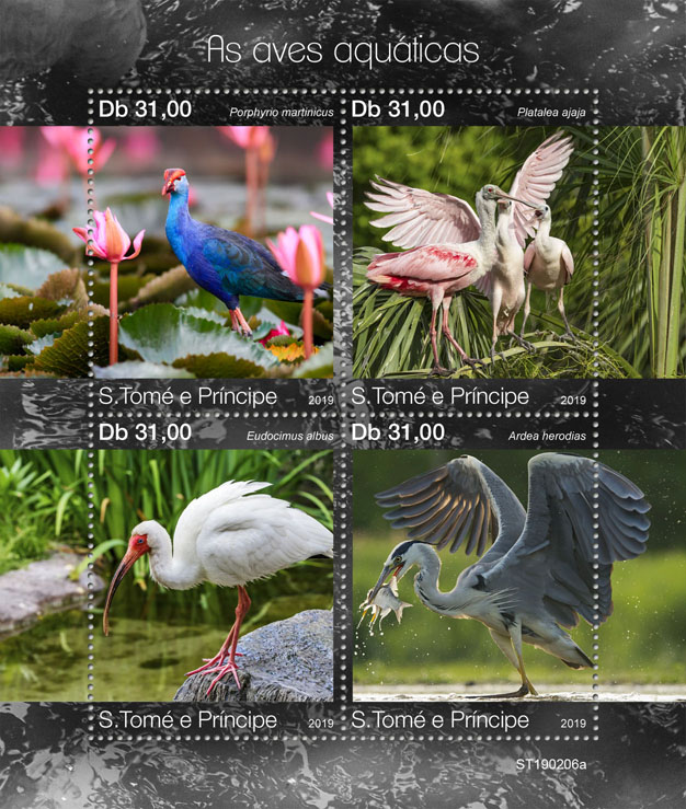 Water birds - Issue of Sao Tome and Principe postage stamps
