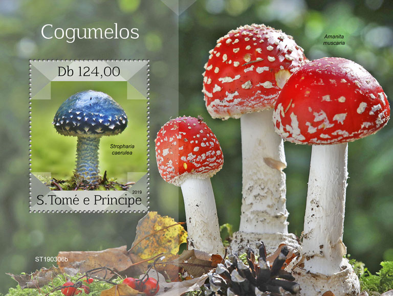 Mushrooms - Issue of Sao Tome and Principe postage stamps